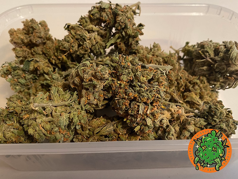 Gorilla Cookies 