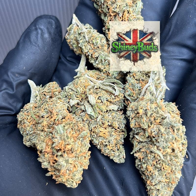 🇬🇧 Amnesia Haze 2