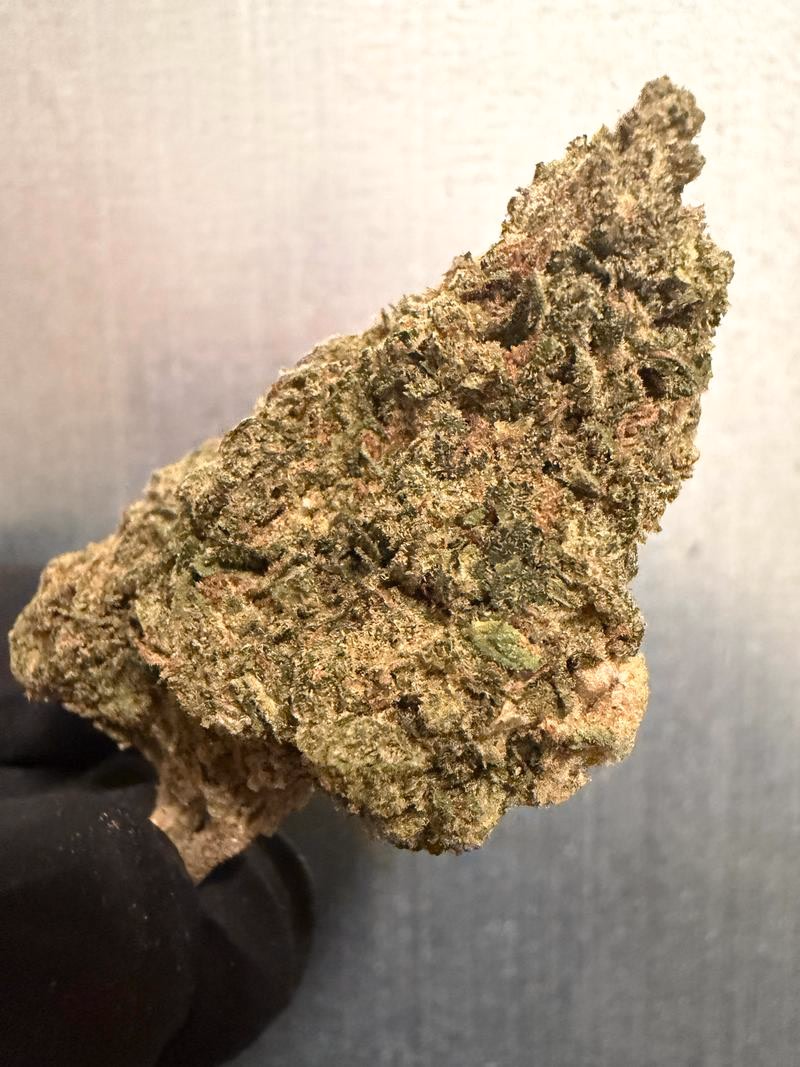 Jokerz Canndy