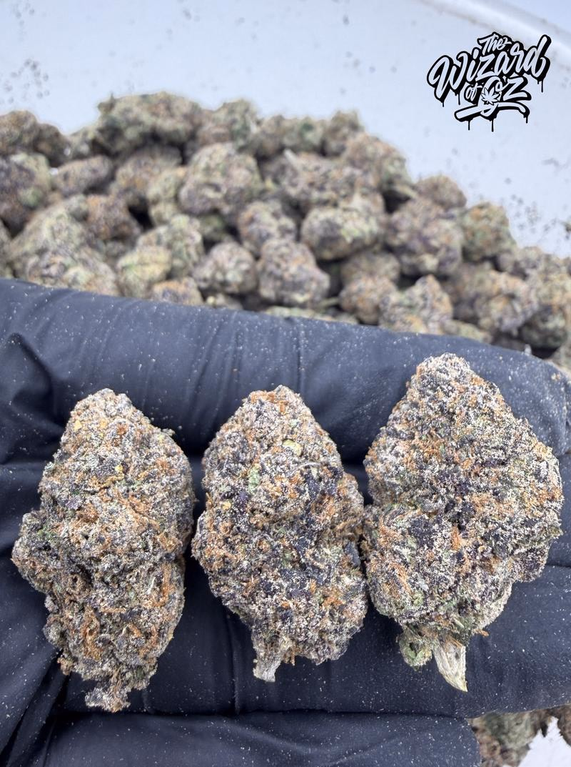 Dope Boyz Strain: Rainbow 41