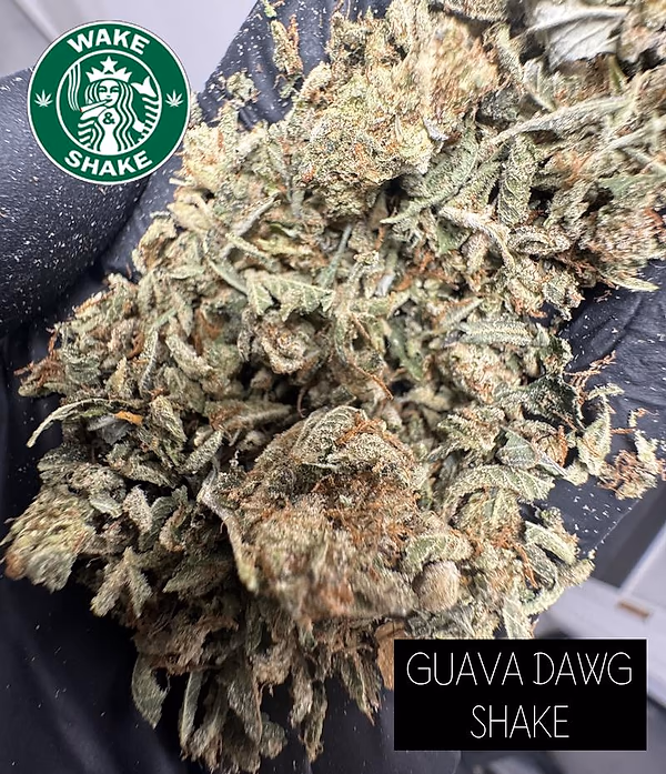Guava Dawg Shake