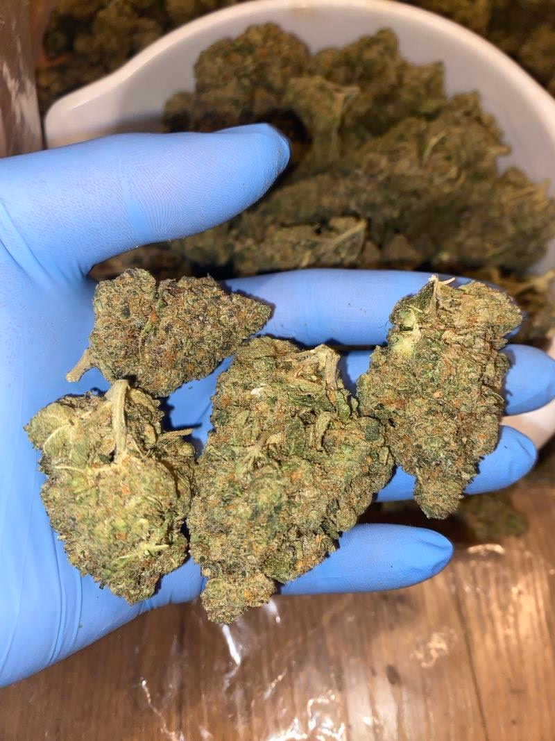 Britscotti 🇬🇧⛽️⛽️⛽️💨 2