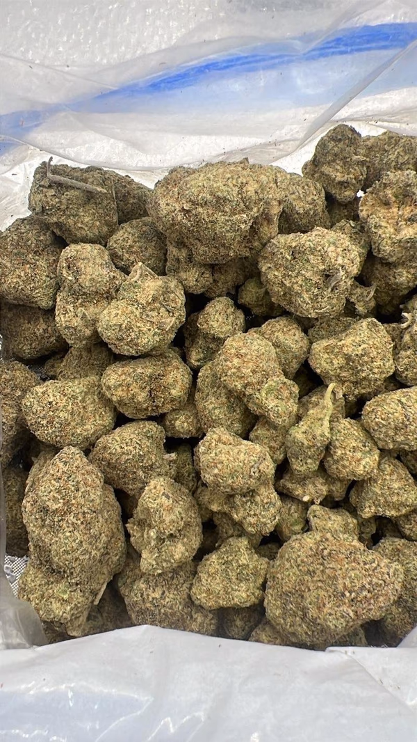 🍨 CALI LOOSE EXOTICS | Black Cherry Gelato 🍨