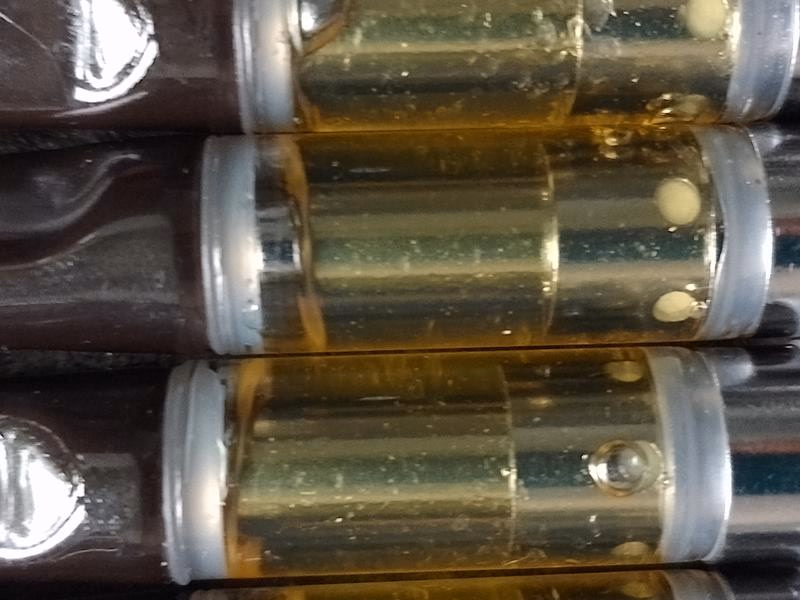 🔥🔥DOJA TRU SPECTRUM LIVE RESIN VAPE CARTS 1000MG