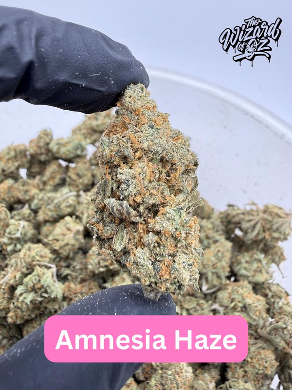 Amnesia Haze 😵‍💫🌌