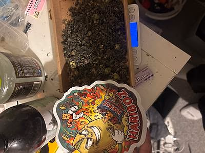 Review image 1