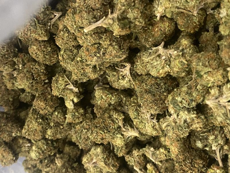 California Mids (FREE T24)