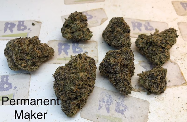Top Shelf Cali AAA