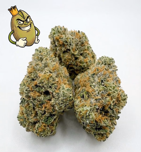 GARY PAYTON - TOPSHELF UK image