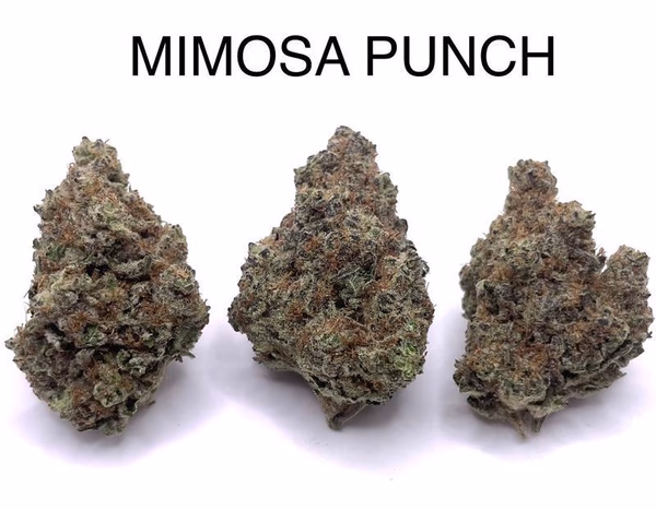 MIMOSA PUNCH