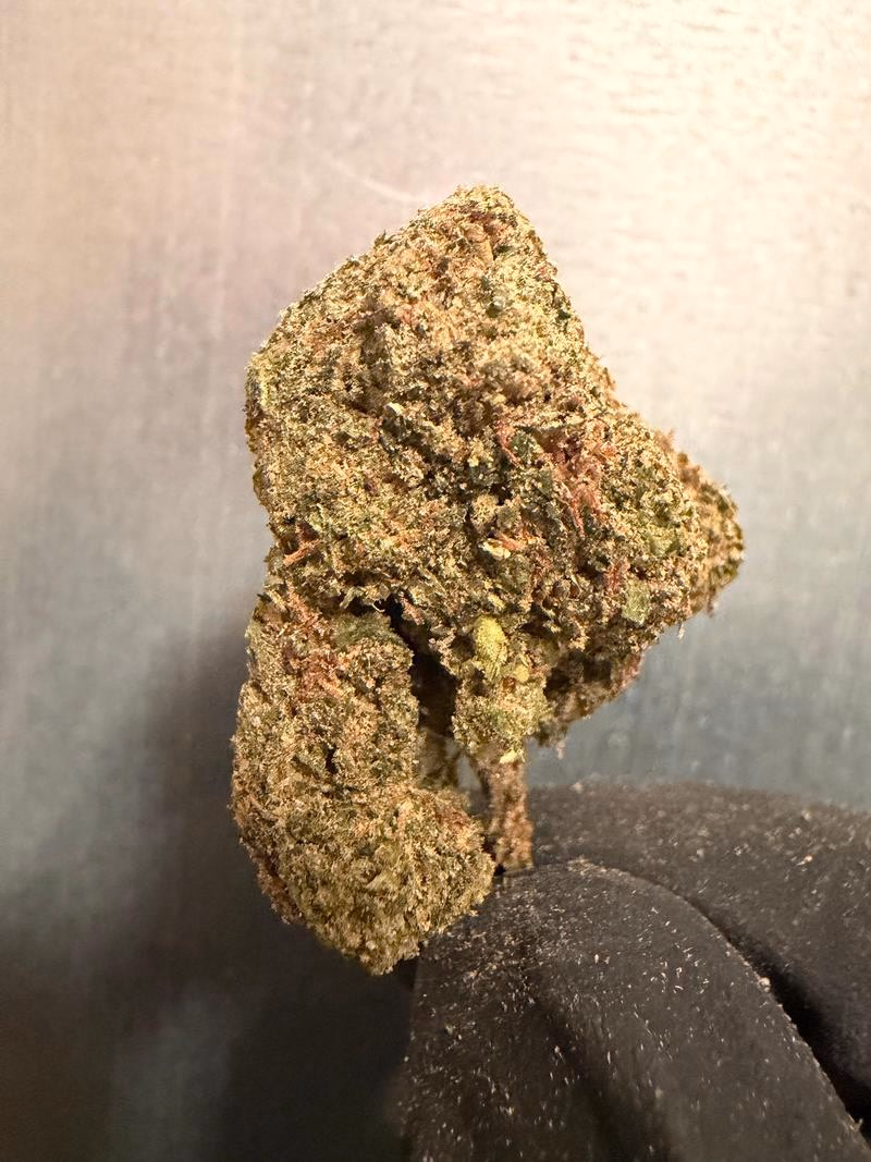 Gelato 33