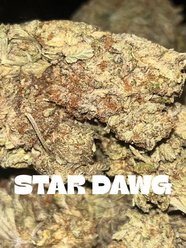 Stardawg alternate