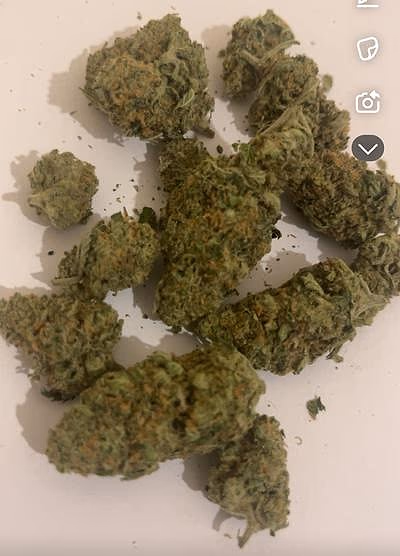 Review image 1