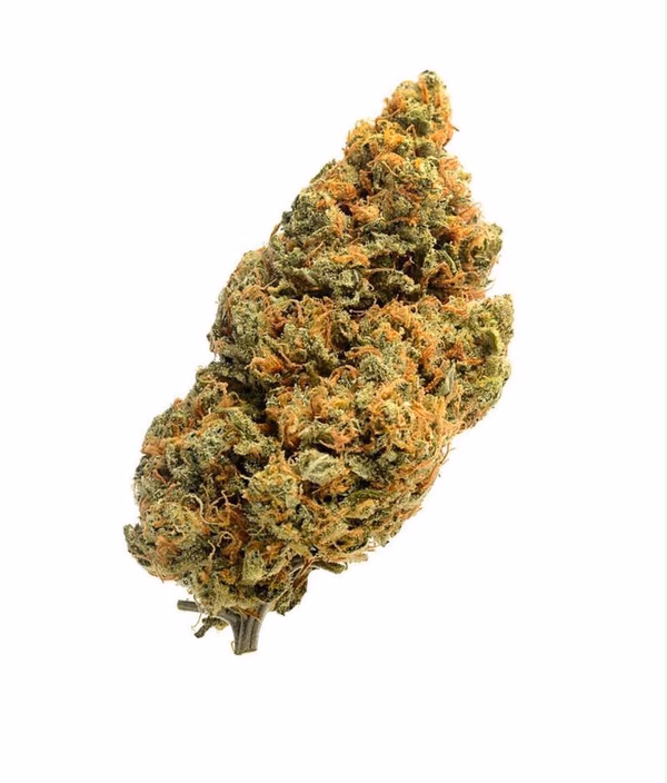 Amnesia Haze | UK Home Grown Sativa | Free Tracked 24