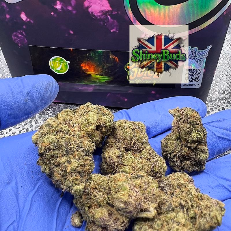 🇺🇸 Jungle Juice WIZARD TREES 2