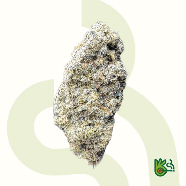 Proyecto 45 *Envío gratis*