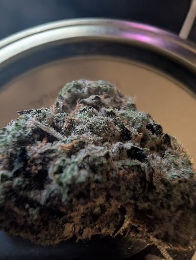 Review image 2