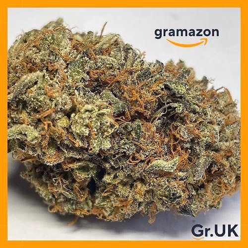 *GUAVO GELATO* 10% EXTRA - FREE SHIPPING
