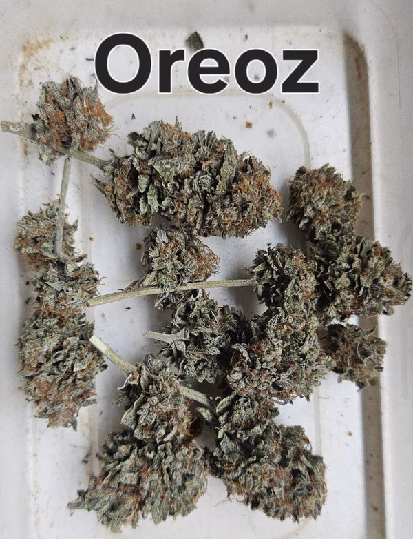 Oreoz