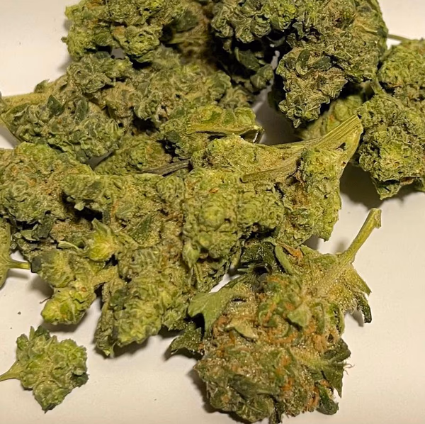 Kosher Kush x Tangie Smalls