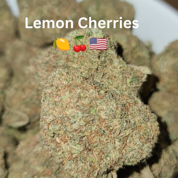 UK BUD'S — Flower