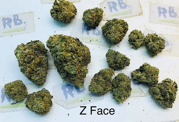 Cali Mids SPECIALS