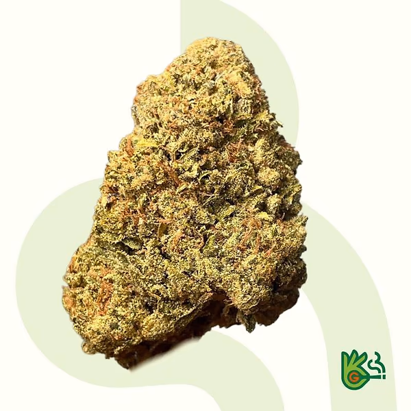 Gumbo *Frete grátis*