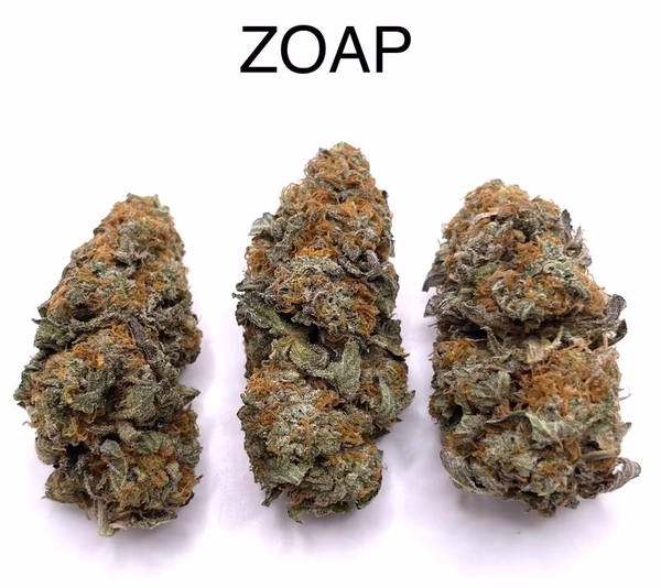 ZOAP image