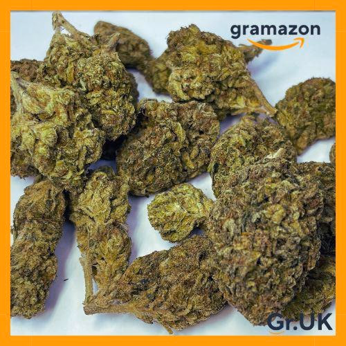 *STAR-DAWG* 20% EXTRA - FREE SHIPPING