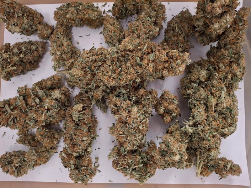 Delicious Strong Super Lemon Haze 8
