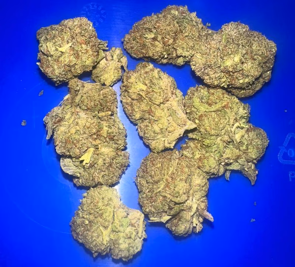 Bruntz Pheno 2