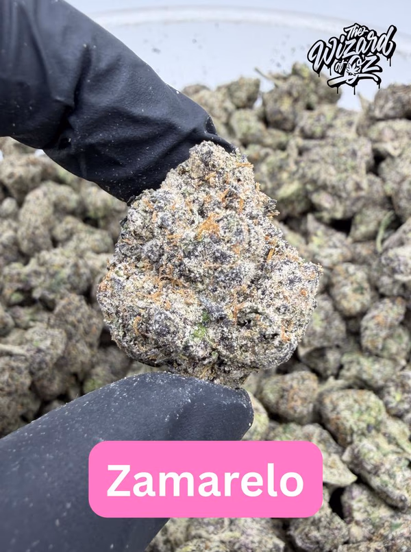 Jungle Boys Strain: Zamarelo