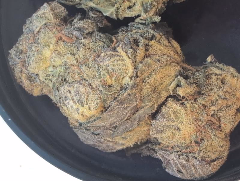 Z33 (Zkittlez x Gelato 33) UK TOP SHELF PREMIUM BUD