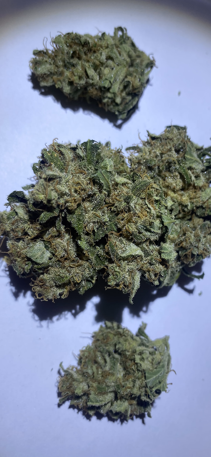 Grade A, Top Shelf, Super Lemon Haze 5