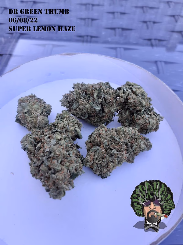 Super Lemon Haze Grade A Top Self