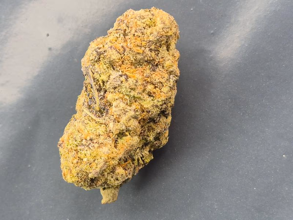 Super Queen- top tier flower