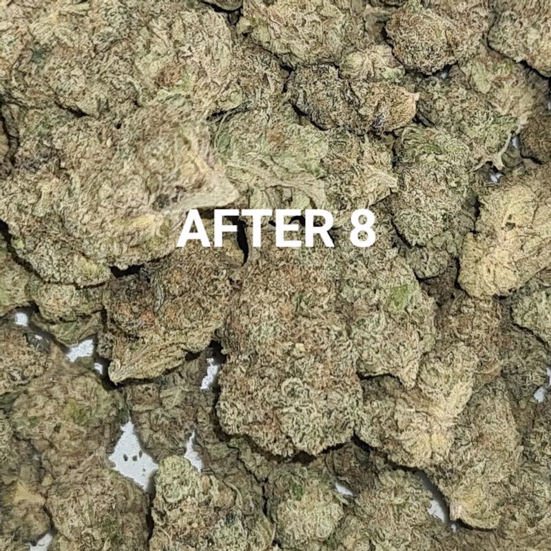 UK BUD'S 3