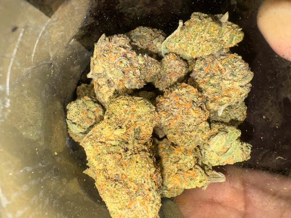 RS11 (Enviado desde España)