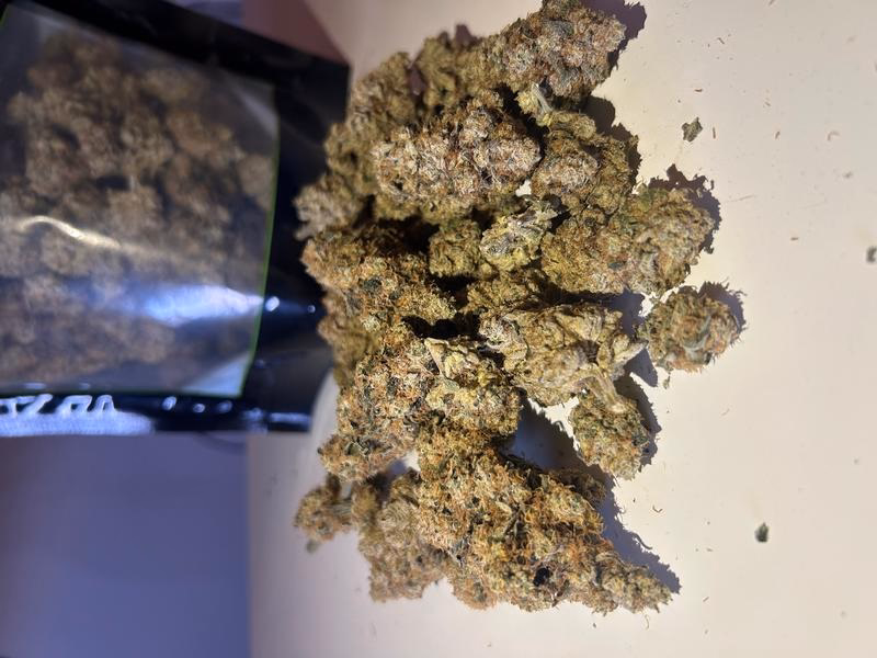 Miami Yayo - Cookies Seedbank 2