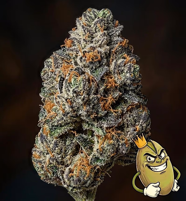 TROPICAL CHERRIES - TOPSHELF £140 A Z