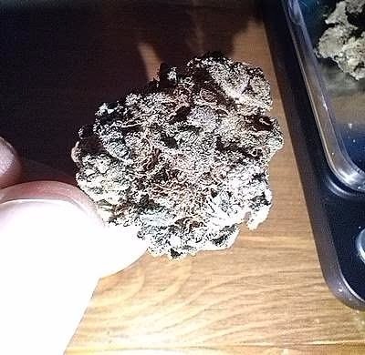Review image 1