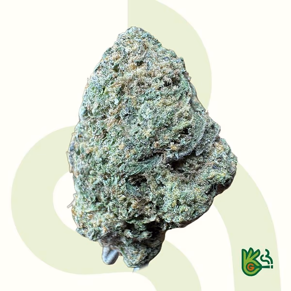 Bafo de Gelatina *Frete grátis*