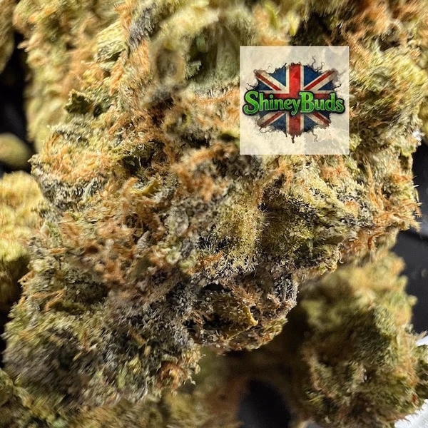 🇺🇸 Death Star