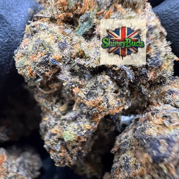 🇺🇸 Lemon Upz
