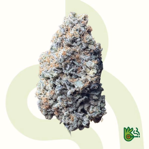 Alien Dawg *Free Shipping*