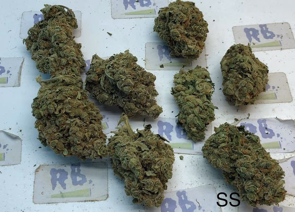 SUPER SILVER HAZE (DUTCH) image