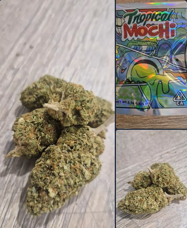 Tropical Mochi