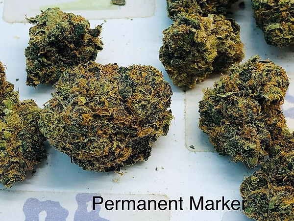 UK Exotics