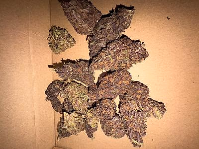Review image 1