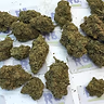 LEMON AMNESIA A+ DUTCH